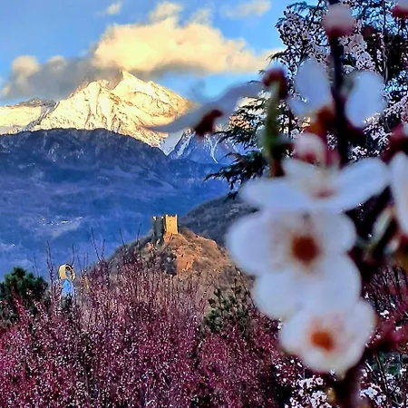 La Maison De Joanna 3