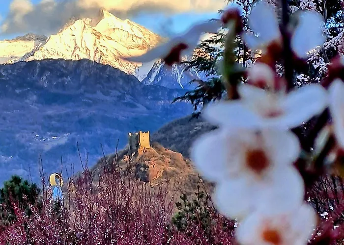 La Maison De Joanna 3